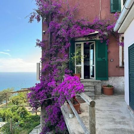 Apartamento Amazing Flat At The Heart Of 5 Terre National Park Vernazza Exterior foto